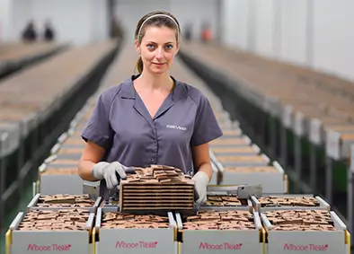 Dienstleistungen GmbH Handwerkerin
